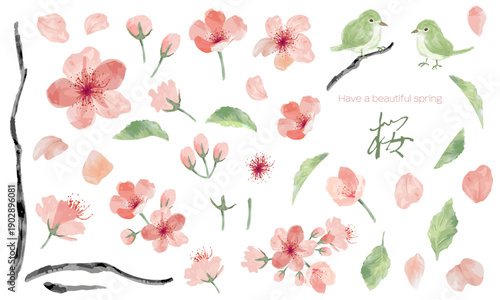 水彩でラフに描いた桜のパーツ素材セット