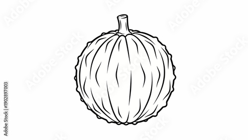 Black and white line art illustration of a textured round squash or gourd vegetable isolated on a