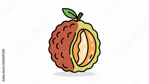 Vibrant Cartoon Lychee Fruit Illustration with Peeled Section Revealing Flesh and Seed on White