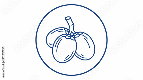 Blue line art illustration of three tropical fruits on a stem icon in a white circle minimalist