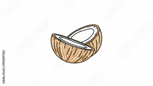 Hand-drawn illustration of a fresh coconut split in half revealing its tropical goodness and