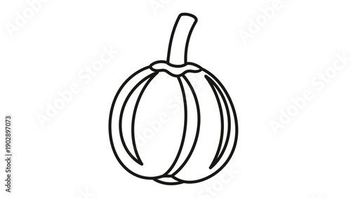 Simple black outline drawing of a pumpkin for children to color a fun autumn vegetable