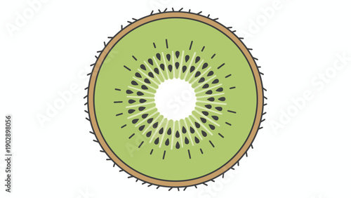 Vibrant kiwi fruit slice illustration showcasing juicy green flesh and tiny black seeds perfect