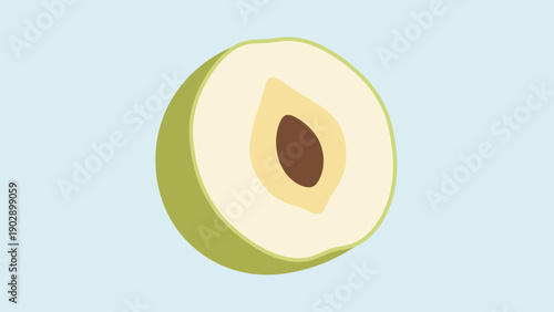 Simple illustration of a halved green fruit with a large seed, perfect for healthy eating designs