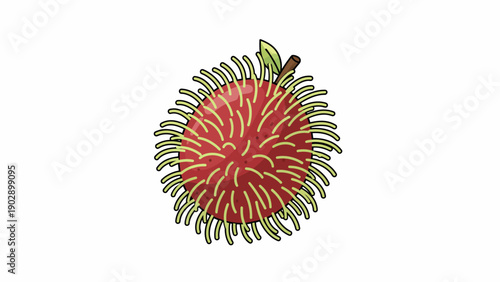 Vibrant Tropical Rambutan Fruit Illustration with Hairy Skin and Green Leaf on White Background