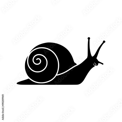 snail flat vector icon