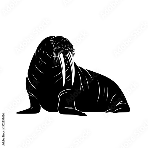 walrus silhouette vector icon