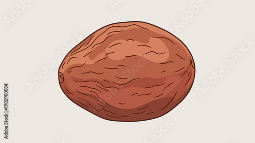 A charming stylized illustration of a single whole nutmeg seed perfect for culinary spice projects