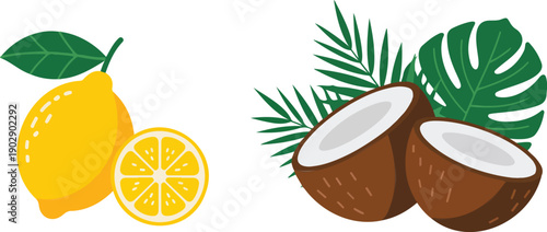 A flat, minimalist illustration of tropical fruits and foliage on a white background.