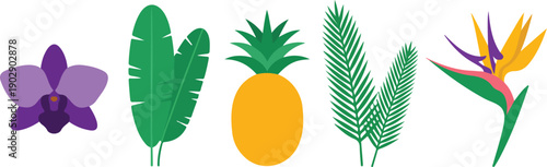 A flat, minimalist illustration of tropical elements arranged horizontally against a white background.