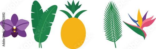 A flat, minimalist illustration of tropical elements arranged horizontally against a white background.