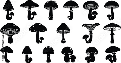 Black white mushroom silhouettes set, minimal fungi icons collection, botanical vector illustration isolated on white background, flat design modern graphic