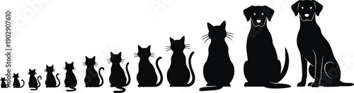 Cat to dog size comparison silhouettes, pet growth evolution concept, black and white animal progression illustration, minimal vector design