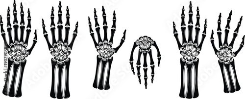 Human hand skeleton illustration, black and white bone anatomy, detailed skeletal structure, medical art, spooky halloween design, anatomical drawing