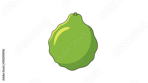 Vibrant green citrus fruit vector illustration with unique wavy texture on a clean white background