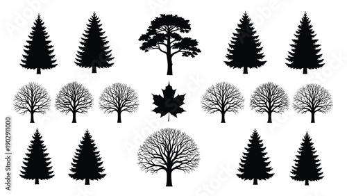 Black, Tree, Silhouette, Collection, With, Pine, Fir, Maple, Leaf, And, Bare, Branch, Deciduous, Trees, For, Forest, Nature, Landscape, Graphic, Design