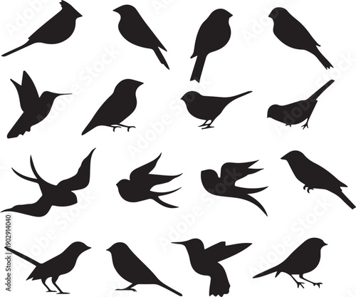 A collection of various bird silhouettes in different poses and orientations