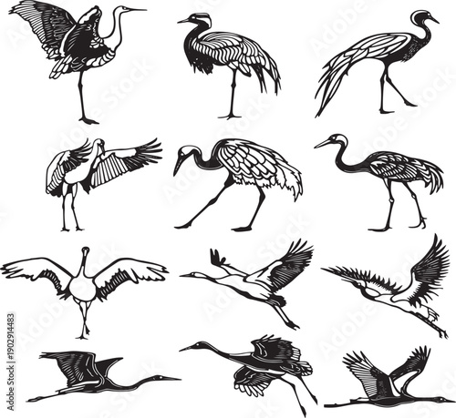 A diverse collection of birds showcasing various species and flight patterns