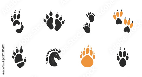 Collection of Animal Paw Prints and Footprints.