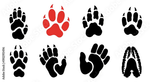 Collection of Animal Paw Prints and Footprints.