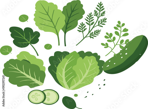 Hand drawn leafy green vegetables collection with cabbage cucumber herbs vector illustration set