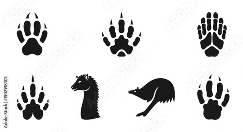 Collection of Animal Paw Prints and Silhouettes.