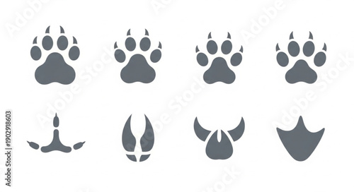 Collection of Animal Paw Prints and Tracks.