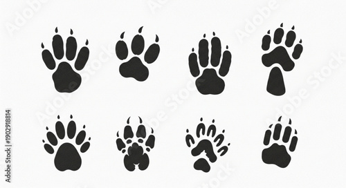 Collection of Animal Paw Prints Isolated on White Background.