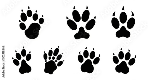 Collection of Animal Paw Prints Isolated on White Background.