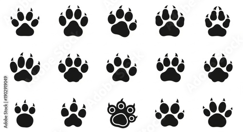 Collection of Animal Paw Prints on White Background.