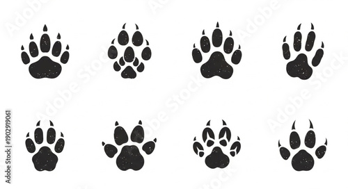 Collection of Animal Paw Prints on White Background.