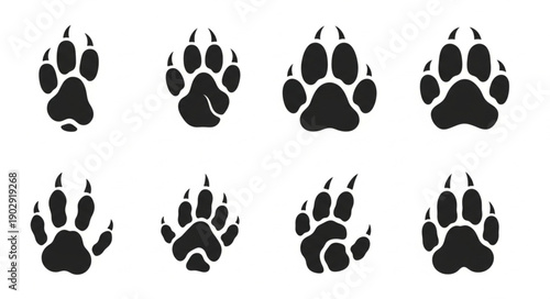Collection of Animal Paw Prints Vector Graphics.