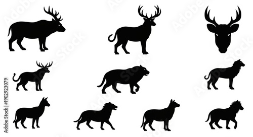 Collection of Animal Silhouettes on White Background.