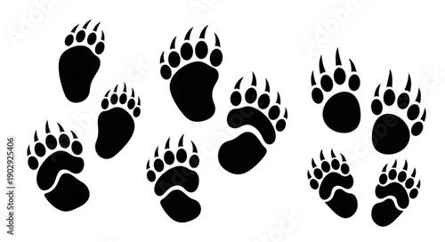 Collection of black bear paw prints on white background.