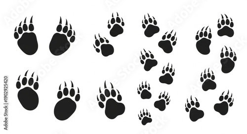 Collection of black bear paw prints on a white background.