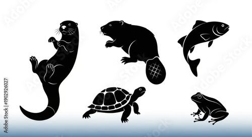 Collection of aquatic animal silhouettes in black and white.