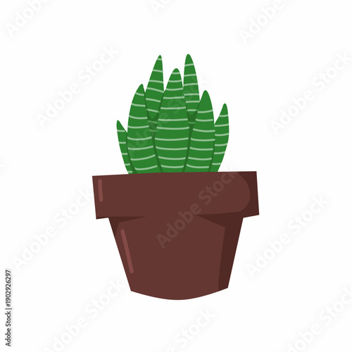 Vector illustration of haworthia zebra plant succulent on pot for your desain for your illustration for sticker 