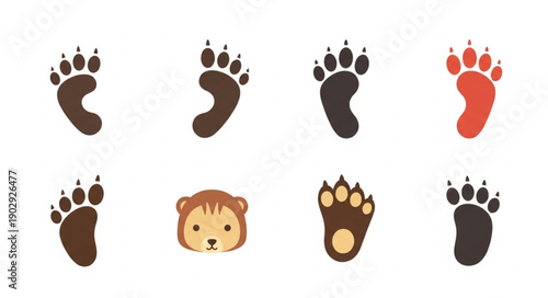 Collection of Bear Paw Prints and Face Illustration.