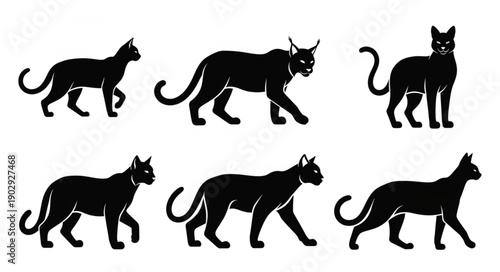 Collection of black cat silhouettes in various poses.