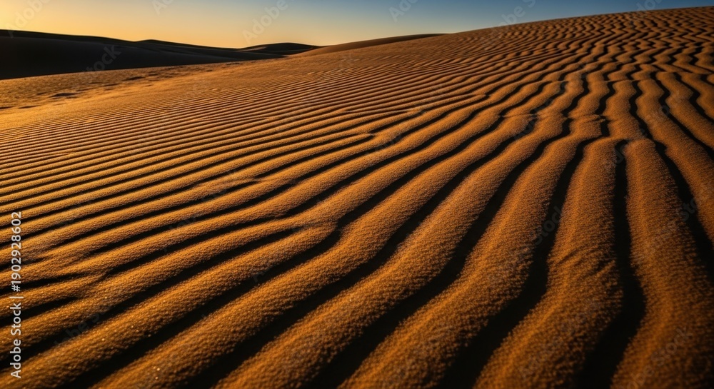 Naklejka premium Golden ripples of sand dunes under the evening sky’s soft glow