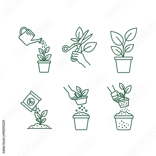 Plant Care Steps Illustrated in Simple Line Art.