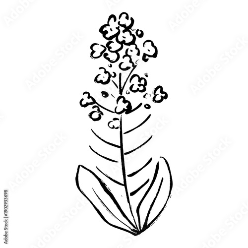 菜の花の筆タッチイラスト