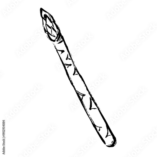 アスパラガスの筆タッチイラスト