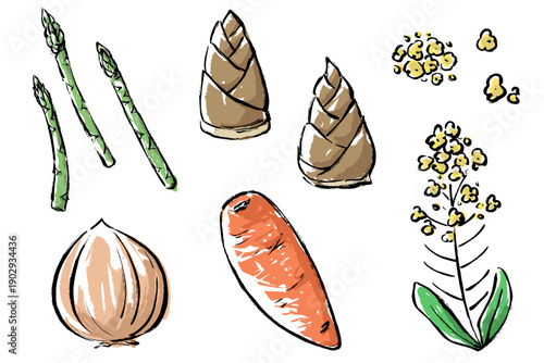 春の野菜と菜の花の筆タッチセット