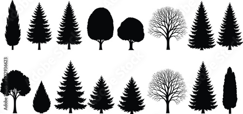 Collection of various tree silhouettes including pine, fir, oak, and deciduous shapes, black forest icons set for nature design, landscaping, ecology, and illustration use