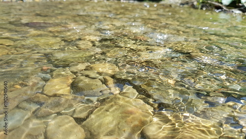 Bilde på lerret Crystal clear water gently flowing over smooth, textured river rocks, creating a