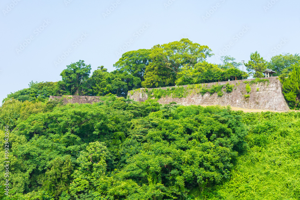 Obraz premium 日本の風景・夏 和歌山県新宮市 新宮城跡