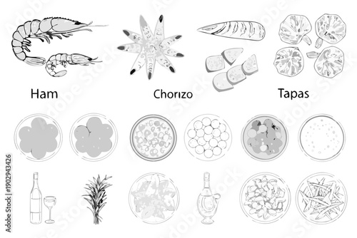 An illustrative collection of various spanish foods and seafood items