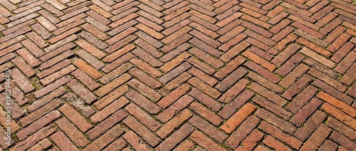 Close-up view of a weathered brick pathway laid in a herringbone pattern.