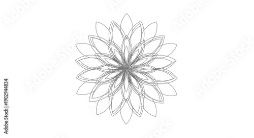 A delicate, intricate line drawing of a stylized flower with multiple overlapping petals.